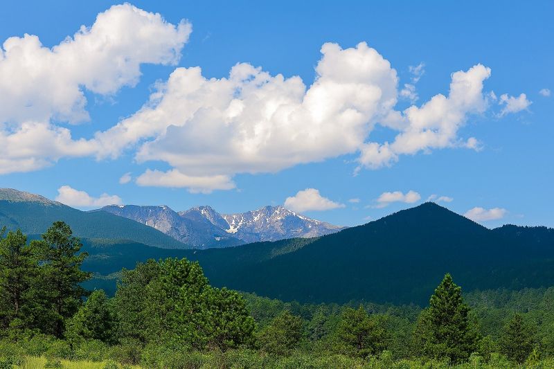 Roofing Service in Larimer County, CO