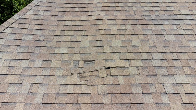 Asphalt Roof Inspection in Milliken, CO