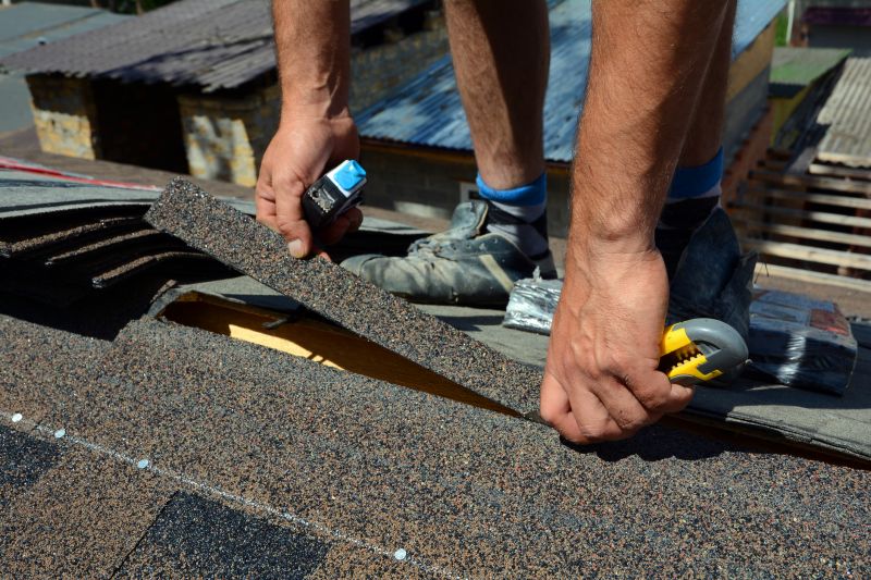 Asphalt Roof Leak Repair in Larimer County, CO