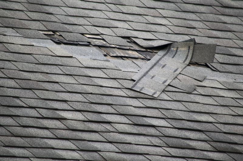 Asphalt Roof Repair in Greeley, CO