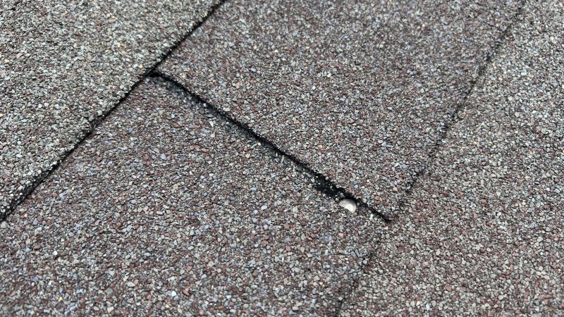 Asphalt Roof Repair in Larimer County, CO