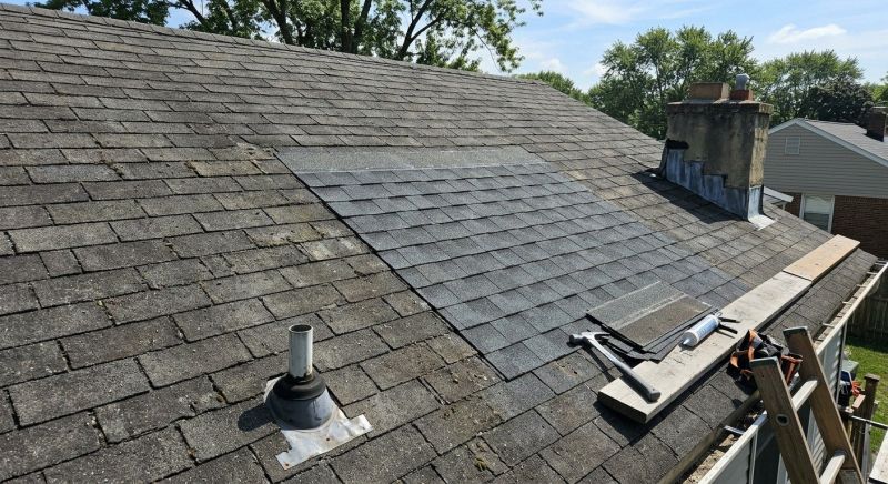 Asphalt Roof Repair in Wellington, CO
