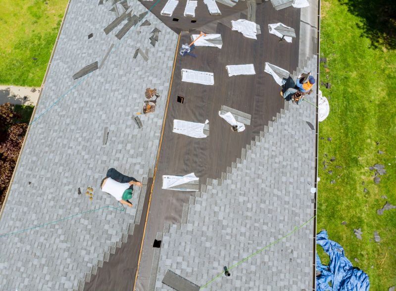 Asphalt Roofing Service in Larimer County, CO