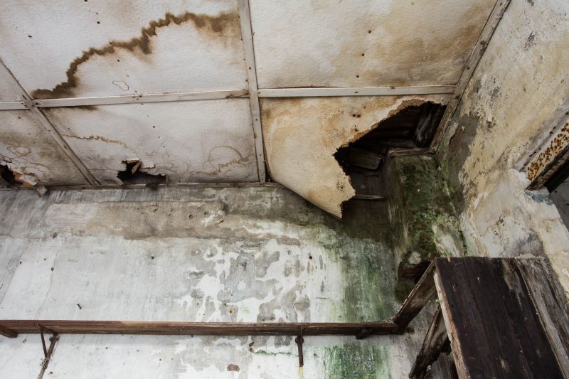 Bedroom Leak Repair in Larimer County, CO