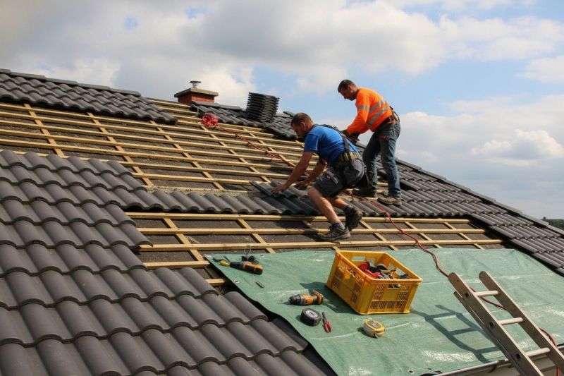 Clay Roof Leak Repair in Larimer County, CO