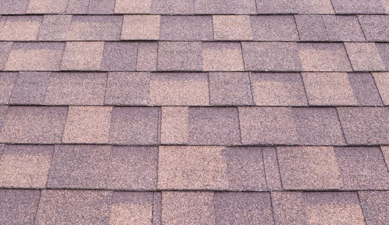 Composite Shingle Replacement in Larimer County, CO