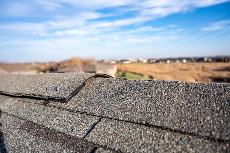 Damaged Roof Repair in Fort Collins, CO