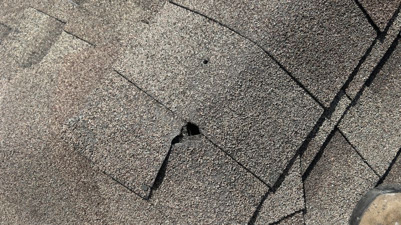 Damaged Roof Repair in Fort Collins, CO