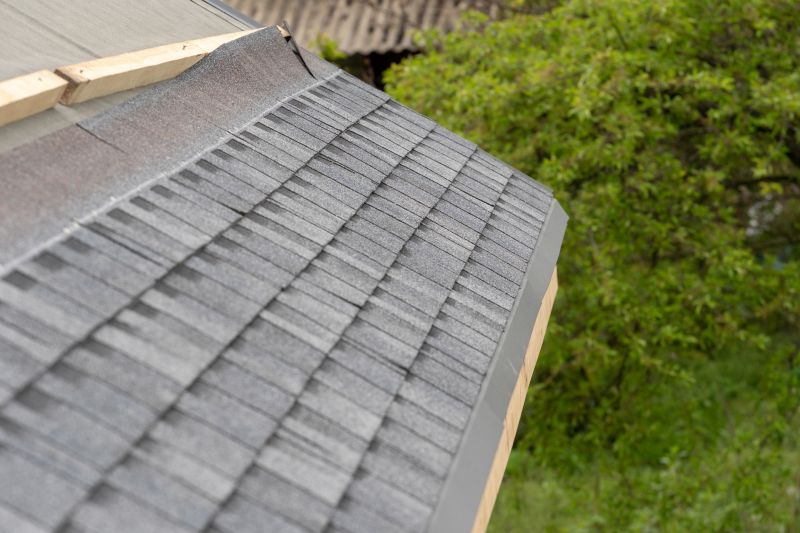 Damaged Roof Repair in Fort Collins, CO