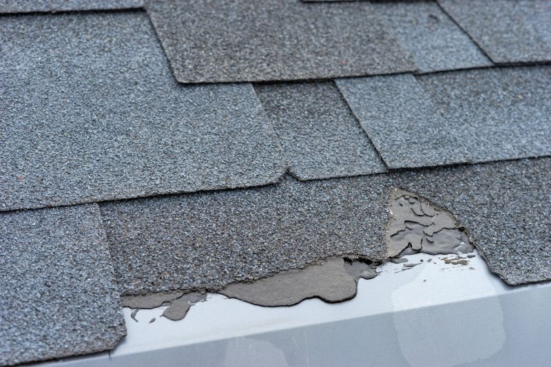 Damaged Roof Repair in Wellington, CO