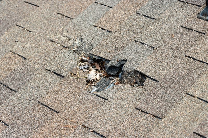 Damaged Roof Replacement in Evans, CO