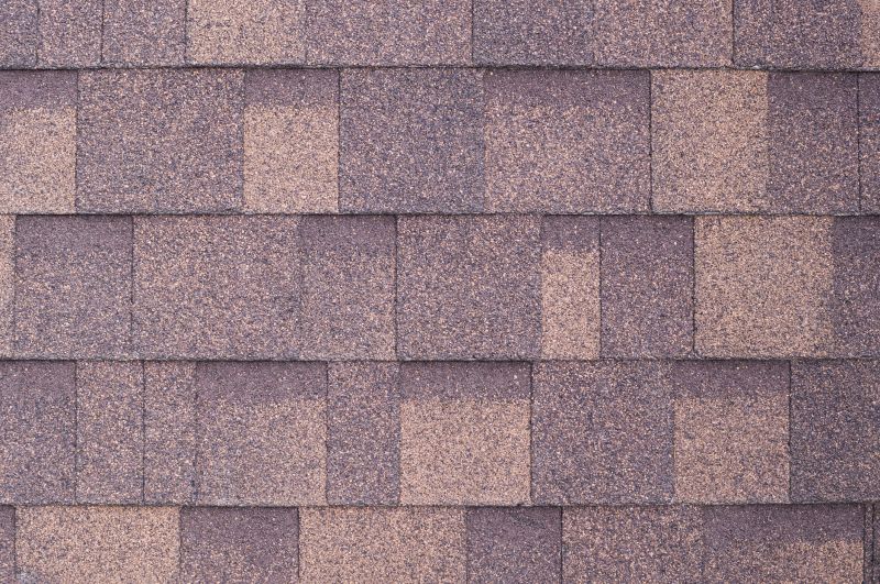 Fiberglass Shingles Repair in Larimer County, CO