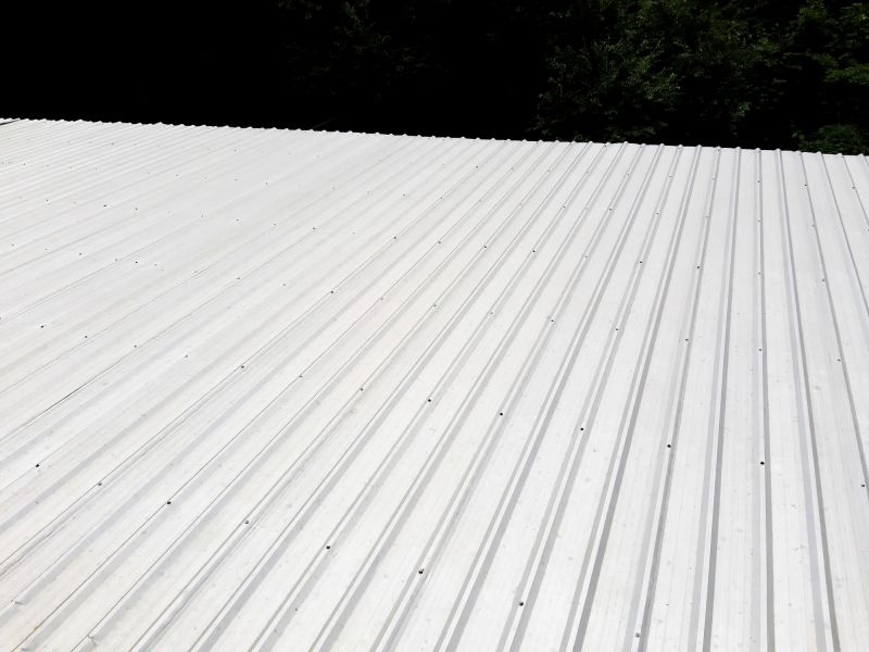 Galvanized Roof Repair in Larimer County, CO