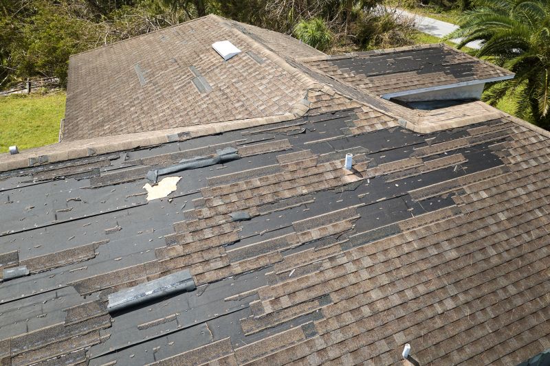 Hail Damage Roof Repair in Larimer County, CO