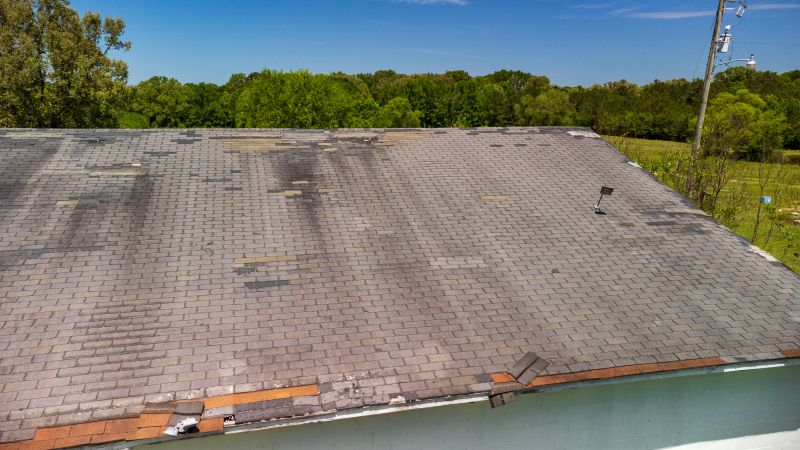 Hail Damage Roof Repair in Loveland, CO