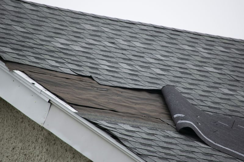 House Roof Repair in Evans, CO