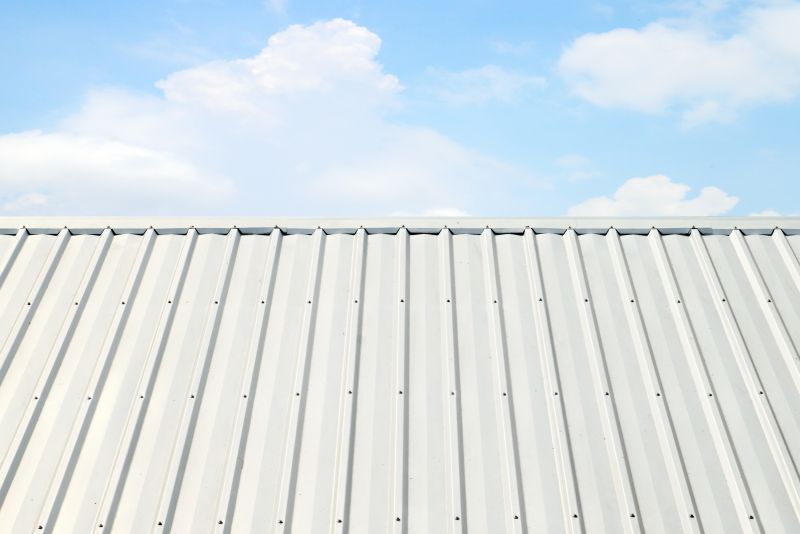 Metal Roof Coating Installation in Larimer County, CO