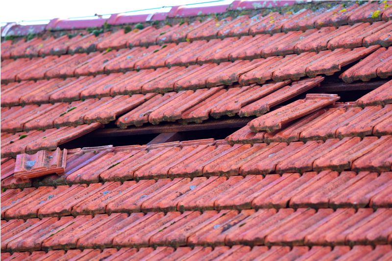 Roof Damage Inspection in Windsor, CO