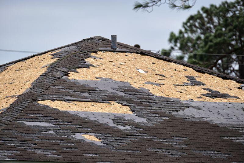 Roof Damage Repair in Loveland, CO