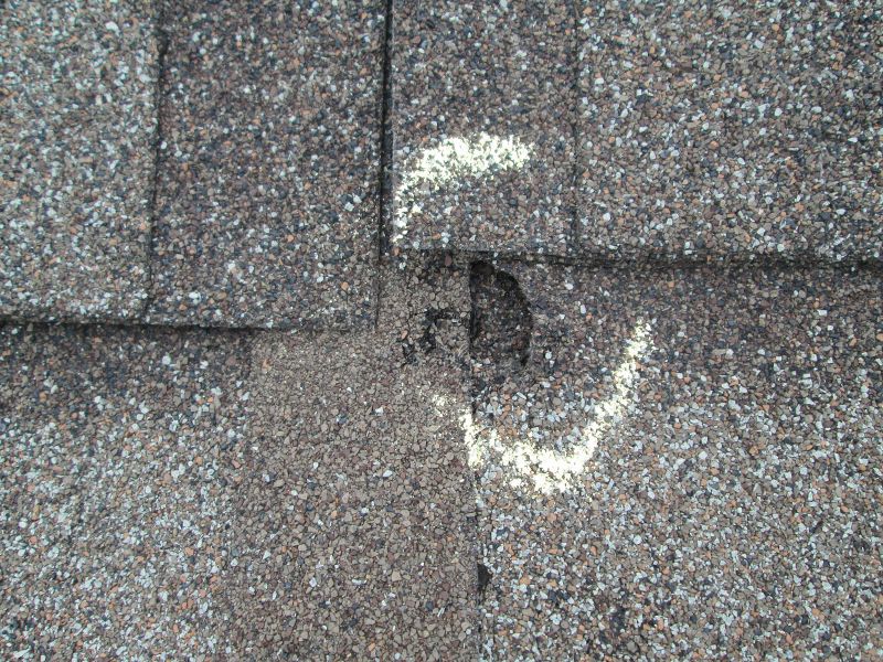 Roof Hail Damage Repair in Larimer County, CO