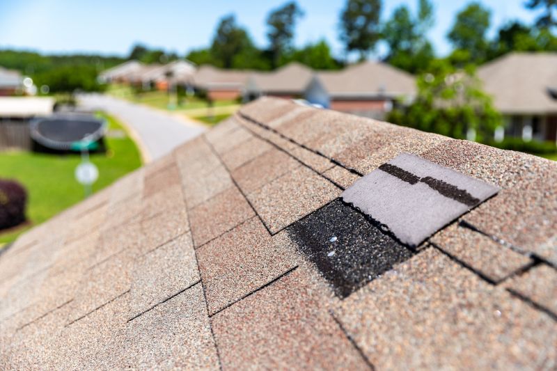 Roof Hail Damage Repair in Larimer County, CO