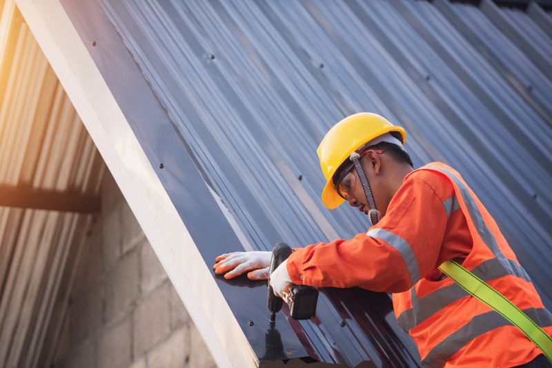 Roof Panel Repair in Larimer County, CO