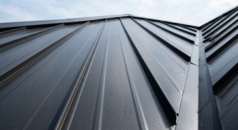 Roof Panel Repair in Larimer County, CO