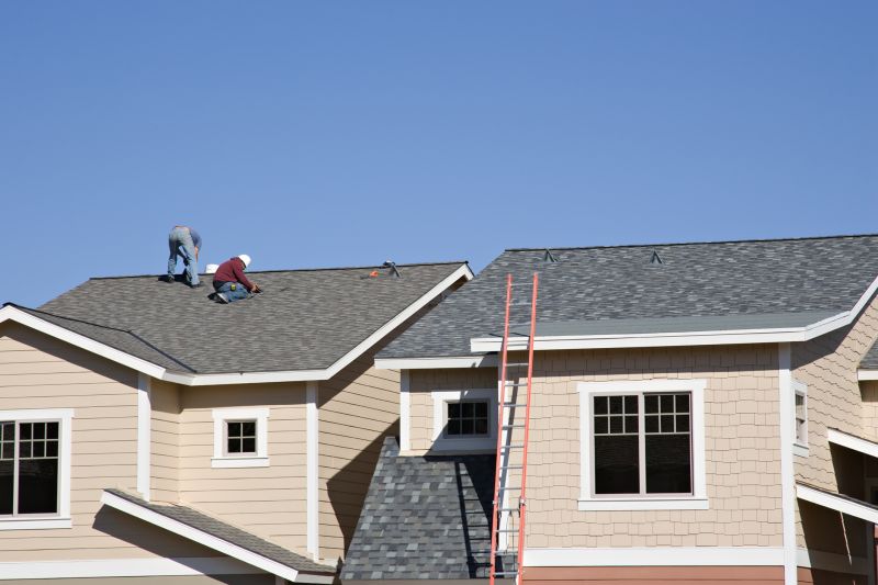 Roof Shingles Installation in Larimer County, CO