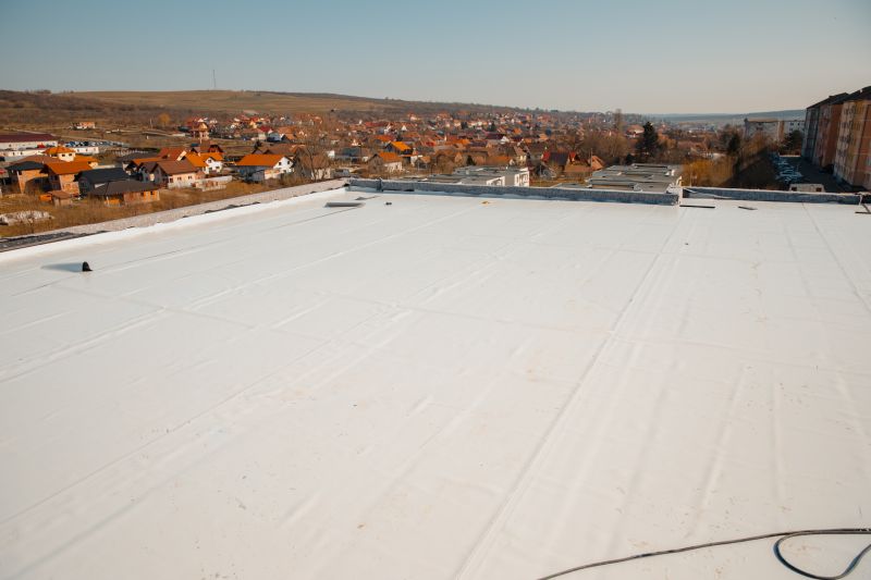 Rubber Roof Repair in Evans, CO