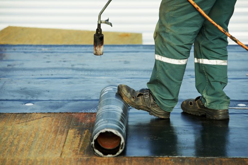 Rubber Roof Repair in Timnath, CO