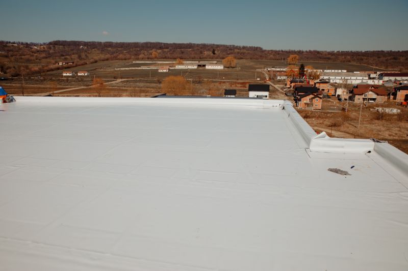 Rubber Roof Repair in Timnath, CO