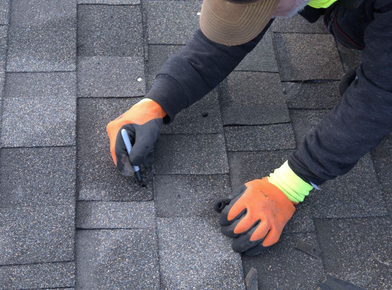 Shingles Repair in Fort Collins, CO
