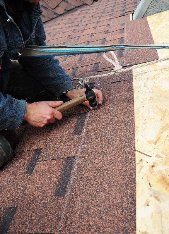 Shingles Replacement in Larimer County, CO