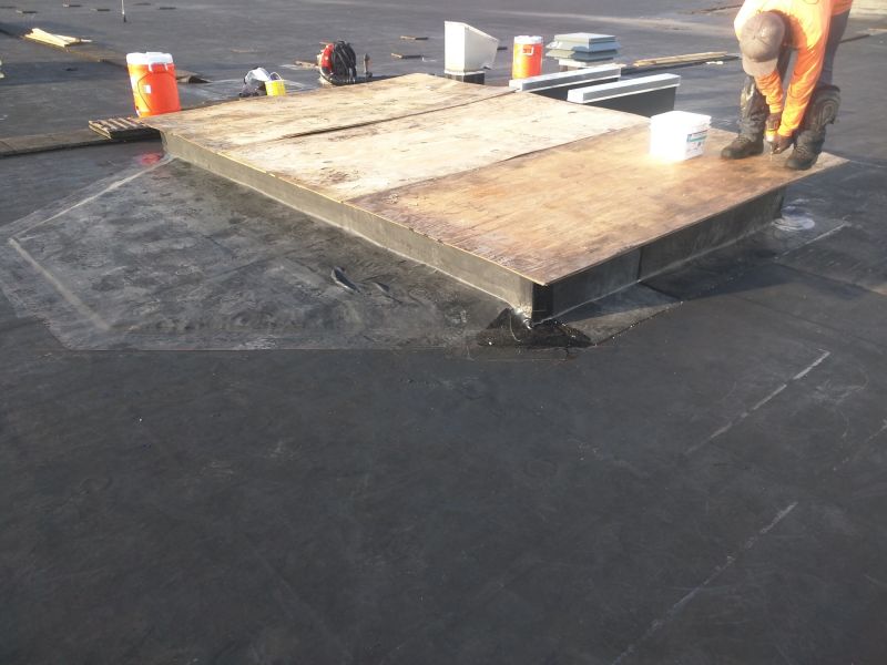 Single Ply Roof Inspection in Larimer County, CO