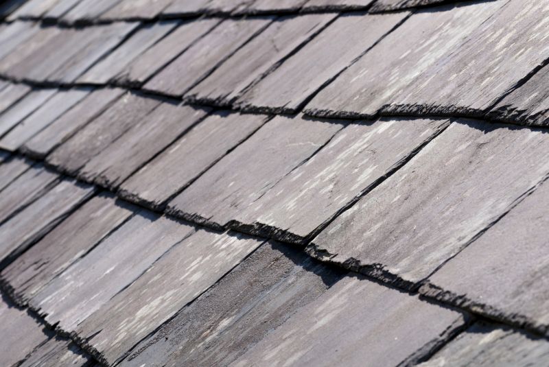 Slate Roof Installation in Larimer County, CO