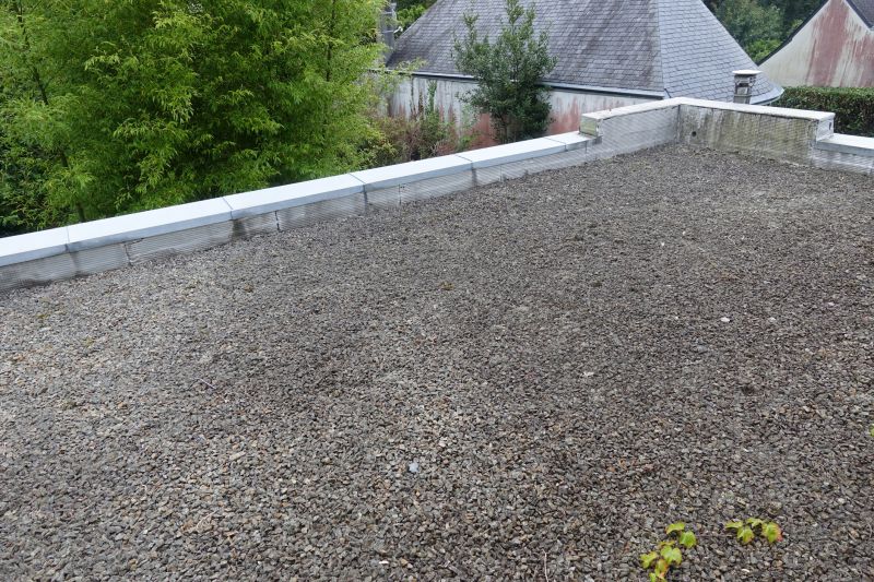 Tar And Gravel Roof Repair in Windsor, CO