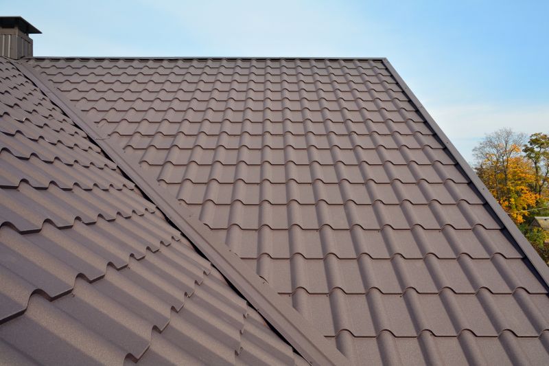 Tin Roof Installation in Fort Collins, CO