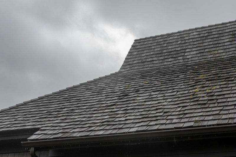 Wood Shake Roof Replacement in Nunn, CO