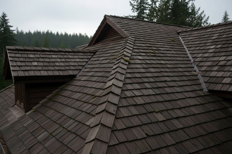 Wood Shake Roof Replacement in Wellington, CO